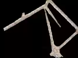 Free download ANIMATION FIBRILLAR NETWORK MULTIMOVEMENT LENGTHENING SLIDING GLIDING SYSTEM video and edit with RedcoolMedia movie maker MovieStudio video editor online and AudioStudio audio editor onlin