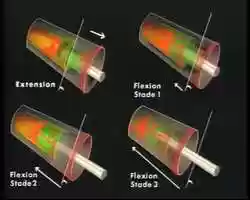 Free download ANIMATION GLIDING SYSTEM MOVEMENT ABSORBING CONTINUITY TEST RESEARCH SKIN TENDON 8 video and edit with RedcoolMedia movie maker MovieStudio video editor online and AudioStudio audio editor onlin