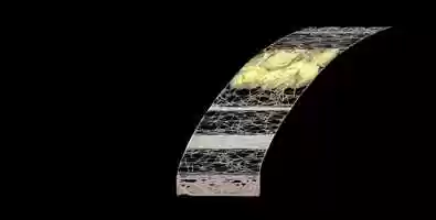 Free download ANIMATION GLOBAL FIBRILLAR NETWORK ARCHITECTURE MOVEMENT LATERAL TRANSLATION video and edit with RedcoolMedia movie maker MovieStudio video editor online and AudioStudio audio editor onlin