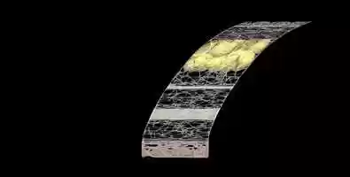 Free download ANIMATION GLOBAL FIBRILLAR NETWORK ARCHITECTURE MOVEMENT LATERAL TRANSLATION.mov video and edit with RedcoolMedia movie maker MovieStudio video editor online and AudioStudio audio editor onlin