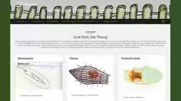 Free download Animation in the Interdisciplinary Curriculum: Approaches to Integrating Animation and Marine Biology video and edit with RedcoolMedia movie maker MovieStudio video editor online and AudioStudio audio editor onlin