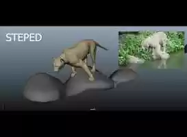 Free download animation process.mp4 video and edit with RedcoolMedia movie maker MovieStudio video editor online and AudioStudio audio editor onlin