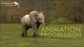 Free download Animation progression on baby elephant at CAW video and edit with RedcoolMedia movie maker MovieStudio video editor online and AudioStudio audio editor onlin