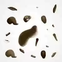 Free download Animation - Rabbit video and edit with RedcoolMedia movie maker MovieStudio video editor online and AudioStudio audio editor onlin