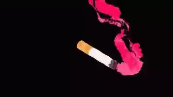 Free download Animation Reel - Jane Winters video and edit with RedcoolMedia movie maker MovieStudio video editor online and AudioStudio audio editor onlin