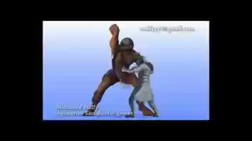 Free download animation samples for games video and edit with RedcoolMedia movie maker MovieStudio video editor online and AudioStudio audio editor onlin