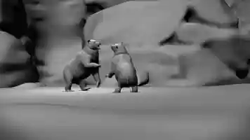 Free download Animation Studies video and edit with RedcoolMedia movie maker MovieStudio video editor online and AudioStudio audio editor onlin