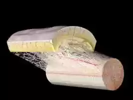 Free download ANIMATION TENDON SURFACE GLIDING SYSTEM FIBRILLAR NETWORK FIBER  MOVEMENT FLEXION EXTENSION SKIN video and edit with RedcoolMedia movie maker MovieStudio video editor online and AudioStudio audio editor onlin