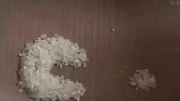 Free download animation test 4 video and edit with RedcoolMedia movie maker MovieStudio video editor online and AudioStudio audio editor onlin