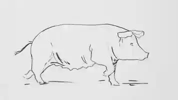 Free download Animation Workshop - Rotoscoping Muybridge video and edit with RedcoolMedia movie maker MovieStudio video editor online and AudioStudio audio editor onlin