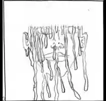 Free download Animation Workshop Test video and edit with RedcoolMedia movie maker MovieStudio video editor online and AudioStudio audio editor onlin