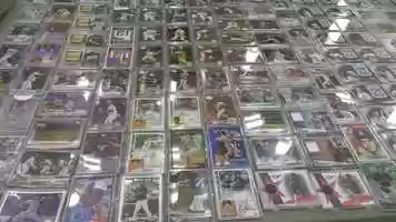 Free download Annual Sports Card Show Held at Hofstra University video and edit with RedcoolMedia movie maker MovieStudio video editor online and AudioStudio audio editor onlin