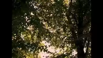 Free download An Ode to Life Before Coronavirus video and edit with RedcoolMedia movie maker MovieStudio video editor online and AudioStudio audio editor onlin