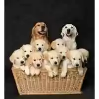 Free download Answy of match the e Lesson 9/Home work from Lesson 10 countable and uncountable nouns video and edit with RedcoolMedia movie maker MovieStudio video editor online and AudioStudio audio editor onlin