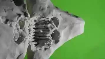 Free download Anthony Reyes-Franco, Change video and edit with RedcoolMedia movie maker MovieStudio video editor online and AudioStudio audio editor onlin