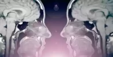 Free download Antropo | After Effects Project Files - Videohive template video and edit with RedcoolMedia movie maker MovieStudio video editor online and AudioStudio audio editor onlin