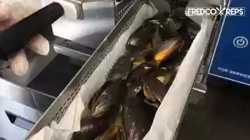 Free download Antunes Rapid Steamer - Garlic Butter and Tomato Mussels video and edit with RedcoolMedia movie maker MovieStudio video editor online and AudioStudio audio editor onlin