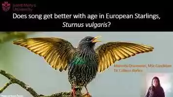 Free download AOS21-(410501) Do male European Starlings advertise age through song video and edit with RedcoolMedia movie maker MovieStudio video editor online and AudioStudio audio editor onlin