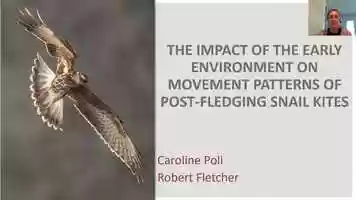 Free download AOS21-(430102) Impacts of the early environment on post-fledging movement patterns of Snail Kites video and edit with RedcoolMedia movie maker MovieStudio video editor online and AudioStudio audio editor onlin