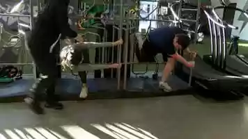 Free download APEC Workout video and edit with RedcoolMedia movie maker MovieStudio video editor online and AudioStudio audio editor onlin