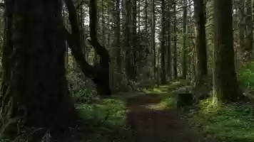 Free download A Personal Passion in Action video and edit with RedcoolMedia movie maker MovieStudio video editor online and AudioStudio audio editor onlin