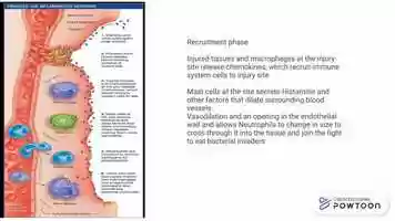 Free download APHURDLE HEALT1112 KDAISLEY 30362209.pptx video and edit with RedcoolMedia movie maker MovieStudio video editor online and AudioStudio audio editor onlin