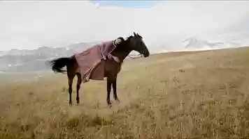 Free download A picture is a poem without words   episode 2 video and edit with RedcoolMedia movie maker MovieStudio video editor online and AudioStudio audio editor onlin