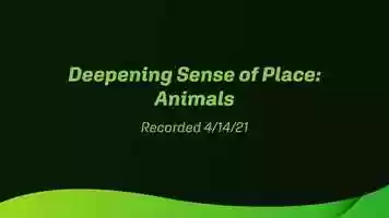 Free download April 14, 2021 | Deepening Sense of Place - Animals video and edit with RedcoolMedia movie maker MovieStudio video editor online and AudioStudio audio editor onlin
