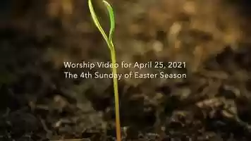 Free download April 25 2021 Full Stream video and edit with RedcoolMedia movie maker MovieStudio video editor online and AudioStudio audio editor onlin