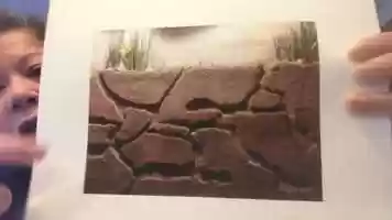 Free download April 28: Amazing Ants video and edit with RedcoolMedia movie maker MovieStudio video editor online and AudioStudio audio editor onlin