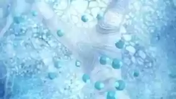 Free download Aquaform Technology - YouTube (360p) video and edit with RedcoolMedia movie maker MovieStudio video editor online and AudioStudio audio editor onlin