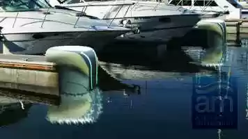 Free download Aquatic Movement_Kieva.Leventhal.Mateo.Flores.Tellez video and edit with RedcoolMedia movie maker MovieStudio video editor online and AudioStudio audio editor onlin