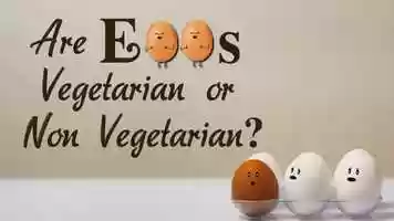Free download Are Eggs Vegetarian or Non Vegetarian? video and edit with RedcoolMedia movie maker MovieStudio video editor online and AudioStudio audio editor onlin