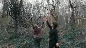 Free download Armonici video and edit with RedcoolMedia movie maker MovieStudio video editor online and AudioStudio audio editor onlin