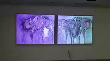 Free download AR Projection Mapping at the Blue Sky Gallery video and edit with RedcoolMedia movie maker MovieStudio video editor online and AudioStudio audio editor onlin