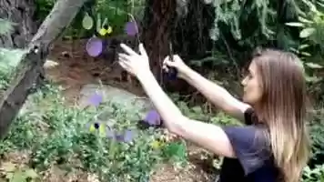 Free download Art and Movement: Mobile Sculptures of Kristen Pobatschnig video and edit with RedcoolMedia movie maker MovieStudio video editor online and AudioStudio audio editor onlin