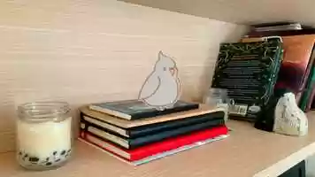 Free download Art Skills Animation L4B video and edit with RedcoolMedia movie maker MovieStudio video editor online and AudioStudio audio editor onlin