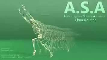 Free download Asa_FloorRoutine video and edit with RedcoolMedia movie maker MovieStudio video editor online and AudioStudio audio editor onlin