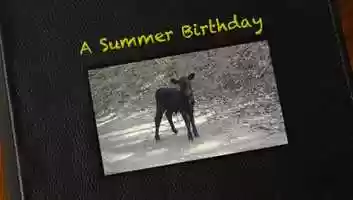 Free download A Summer Birthday video and edit with RedcoolMedia movie maker MovieStudio video editor online and AudioStudio audio editor onlin