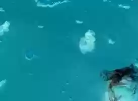 Free download atelier Orama Cosmos / cole Perrot - Lons video and edit with RedcoolMedia movie maker MovieStudio video editor online and AudioStudio audio editor onlin