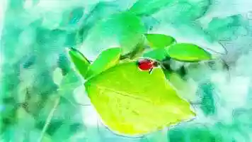 Free download Atelier : SMILE - Lyce des Mtiers Henri Senez, Hnin-Beaumont - 2019  2020 video and edit with RedcoolMedia movie maker MovieStudio video editor online and AudioStudio audio editor onlin