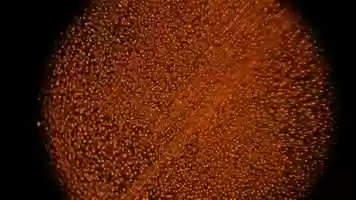 Free download Atomes en qute dimmatrialit_Extrait video and edit with RedcoolMedia movie maker MovieStudio video editor online and AudioStudio audio editor onlin