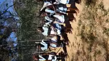 Free download At Sikato Lion Park video and edit with RedcoolMedia movie maker MovieStudio video editor online and AudioStudio audio editor onlin