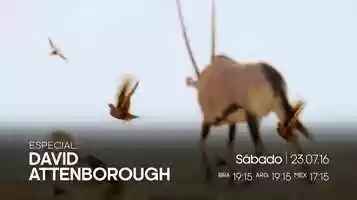 Free download Attenborough Summer Marathon video and edit with RedcoolMedia movie maker MovieStudio video editor online and AudioStudio audio editor onlin