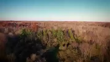 Free download ATTO-1308-Forecast 40mph Winds-Trailer video and edit with RedcoolMedia movie maker MovieStudio video editor online and AudioStudio audio editor onlin