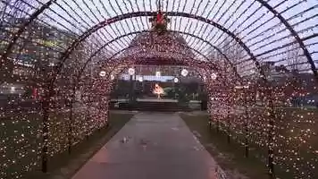 Free download Aurora Singing Tree In Maple Ridge video and edit with RedcoolMedia movie maker MovieStudio video editor online and AudioStudio audio editor onlin