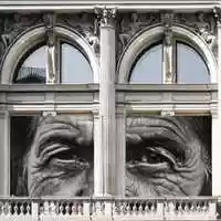 Free download A Window to Other Ways. Marry Waterson  Emily Barker. video and edit with RedcoolMedia movie maker MovieStudio video editor online and AudioStudio audio editor onlin