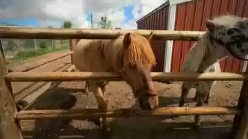 Free download Babby Farms - Caldwell, Idaho | Roadtrip Montage | Shot with GoPro Hero9 Black | Edited with GoPro Quik video and edit with RedcoolMedia movie maker MovieStudio video editor online and AudioStudio audio editor onlin