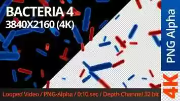 Free download Bacteria 4 | Motion Graphics - Videohive template video and edit with RedcoolMedia movie maker MovieStudio video editor online and AudioStudio audio editor onlin