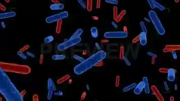Free download Bacteria Loop Pack Stock Motion Graphics video and edit with RedcoolMedia movie maker MovieStudio video editor online and AudioStudio audio editor onlin